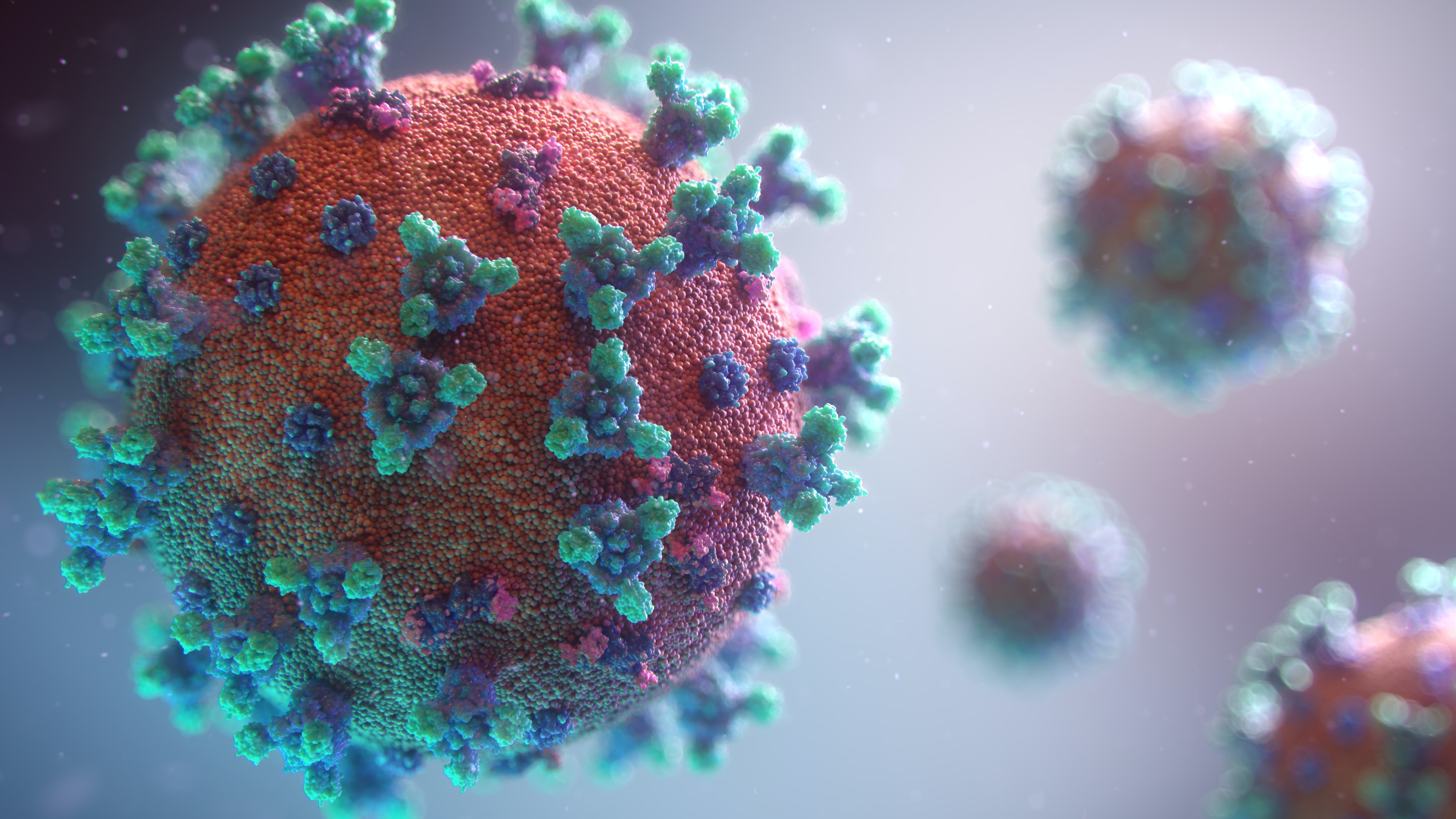 With the fast-spreading mutations of the Novel Coronavirus, Hotgen Biotech has successfully developed a freeze-dried Novel Coronavirus Mutant Identification Kit!